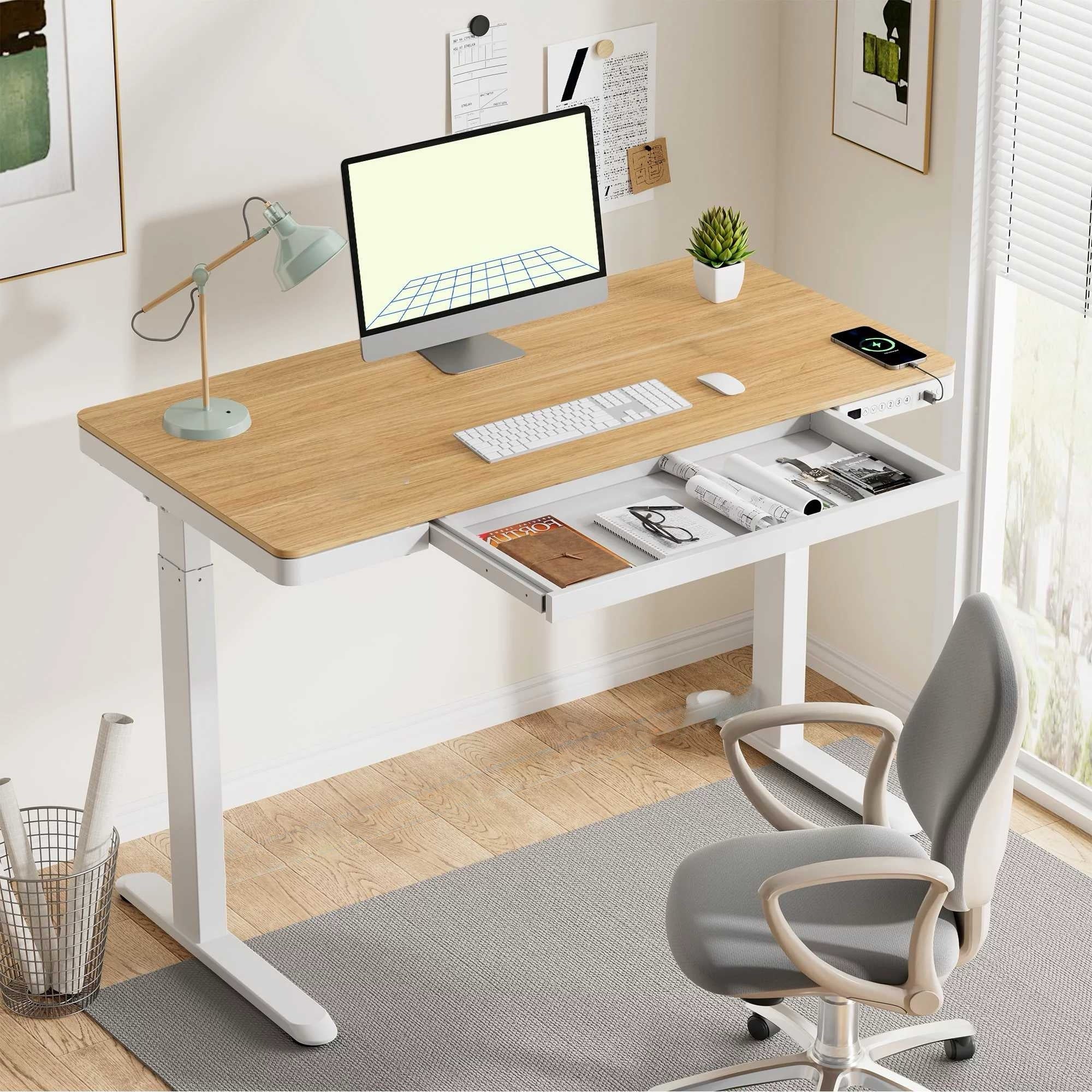 FlexiSpot Liftek electric height adjustable desk 120x60