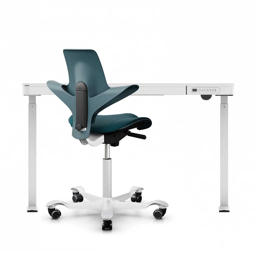 FlexiSpot Liftek electric height adjustable desk 120x60