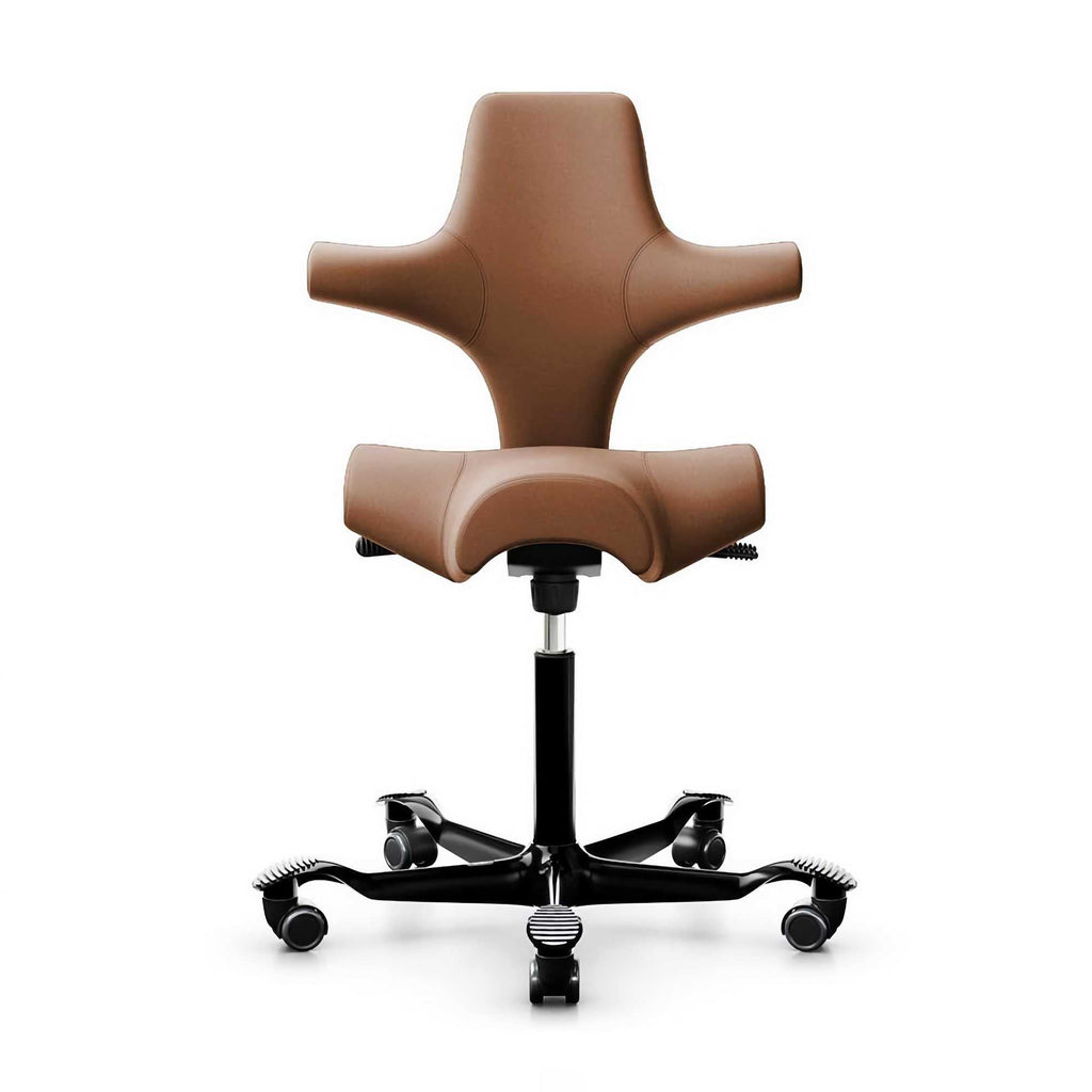 Hag Capisco 8106 Leather, cognac/black